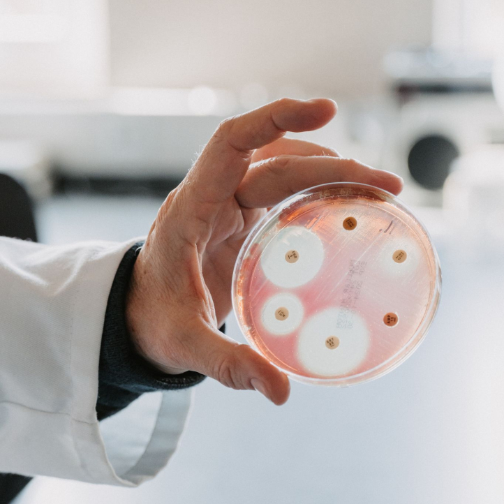 Antibiogram Serratia